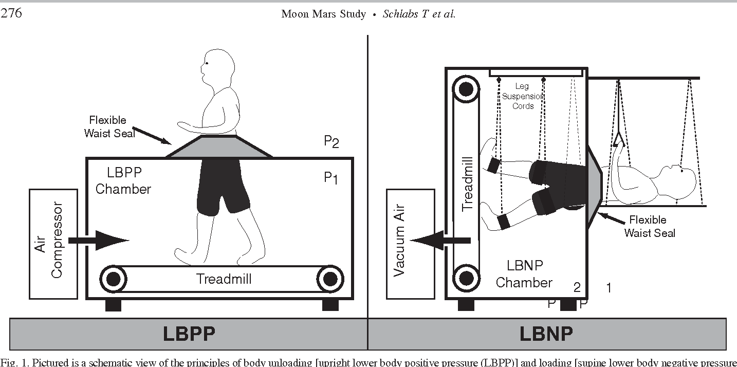 Fig. 1. Pictured is a schematic view of the principles of body unloading [upright lower body positive pressure (LBPP)] and loading [supine lower body negative pressure (LBNP)] in a lower body pressure chamber. During upright LBPP, a pressure differential (P1 P2) across the waist seal creates a buoyancy force and ultimately reduces the effective ground reaction force toward the horizontal treadmill. Supine LBNP works the opposite way with a pressure differential (P1 P2) across the waist seal, creating a suction force that generates a ground reaction force toward the vertical treadmill. (Modified schematic drawing by courtesy of H. Ruckstuhl.)